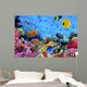 Photo Coral Colony Wall Decal