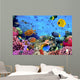 Photo Coral Colony Wall Decal