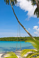 Beautiful Tropical Beach Thailand