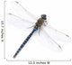 dragonfly Wall Decal