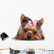 Cute Yorkshire Terrier Puppy Dog Looking a Little Sad Wall Decal