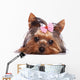 Cute Yorkshire Terrier Puppy Dog Looking a Little Sad Wall Decal