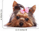Cute Yorkshire Terrier Puppy Dog Looking a Little Sad Wall Decal
