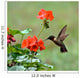 Ruby-throated Hummingbird Wall Mural