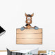 Horse with Board