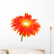 Orange Flower Wall Mural
