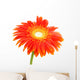 Orange Flower Wall Mural