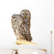 Ural Owl Wall Mural