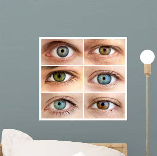 Set of 6 Real Different Open Eyes / Huge Size Wall Mural