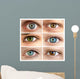 Set of 6 Real Different Open Eyes / Huge Size Wall Mural