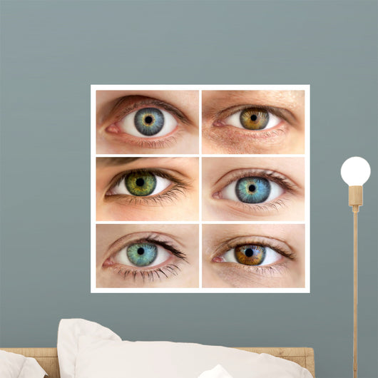 Set of 6 Real Different Open Eyes / Huge Size Wall Mural
