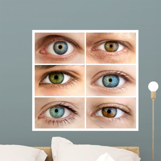 Set of 6 Real Different Open Eyes / Huge Size Wall Mural