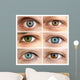 Set of 6 Real Different Open Eyes / Huge Size Wall Mural