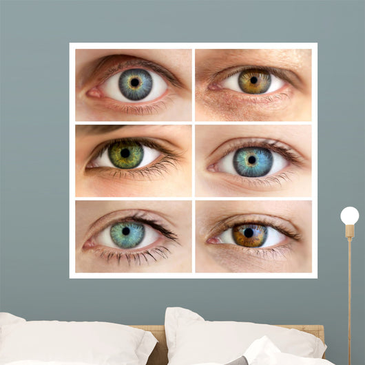 Set of 6 Real Different Open Eyes / Huge Size Wall Mural