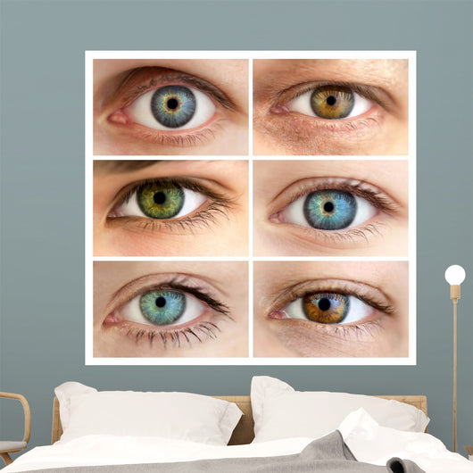 Set of 6 Real Different Open Eyes / Huge Size Wall Mural
