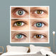 Set of 6 Real Different Open Eyes / Huge Size Wall Mural