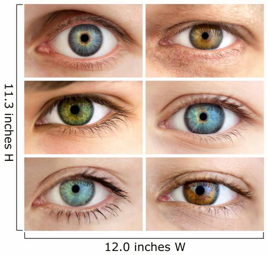 Set of 6 Real Different Open Eyes / Huge Size Wall Mural