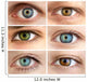 Set of 6 Real Different Open Eyes / Huge Size Wall Mural