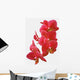 Red Orchid Wall Decal
