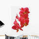 Red Orchid Wall Decal