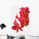 Red Orchid Wall Decal