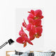 Red Orchid Wall Decal