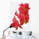Red Orchid Wall Decal
