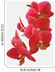 Red Orchid Wall Decal