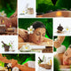 Spa Mix