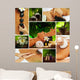spa collage Wall Mural