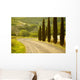 Landscape Tuscany Italy