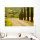 Landscape Tuscany Italy