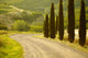 Landscape Tuscany Italy