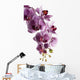Orchid