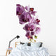 Orchid