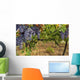 Uva Wall Mural