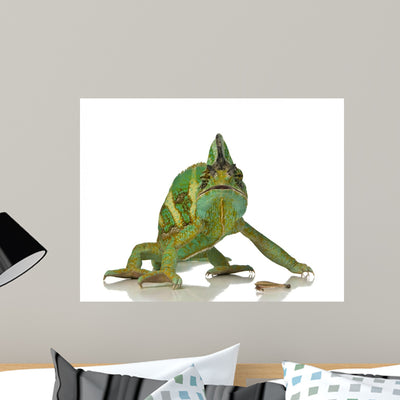 Chameleon Wall Mural shown on a wall