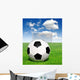 Soccer Ball Grass Wall Mural