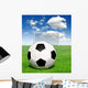 Soccer Ball Grass Wall Mural