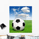 Soccer Ball Grass Wall Mural