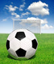 Soccer Ball Grass Wall Mural