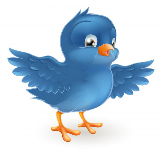 Happy Bluebird