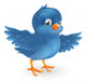 Happy Bluebird