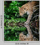Beautiful Leopard Panthera Pardus