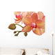 Orchideen