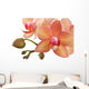 Orchideen