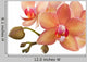 Orchideen
