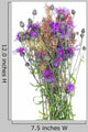 Thistle Wild Bunch Wall Decal