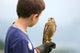 Youngster Holding Hawk