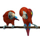 2 Scarlet Macaws Perched Wall Decal
